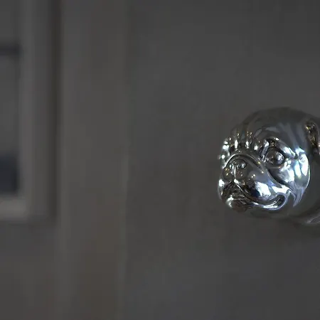 B&B D'hote L'alibi 알비